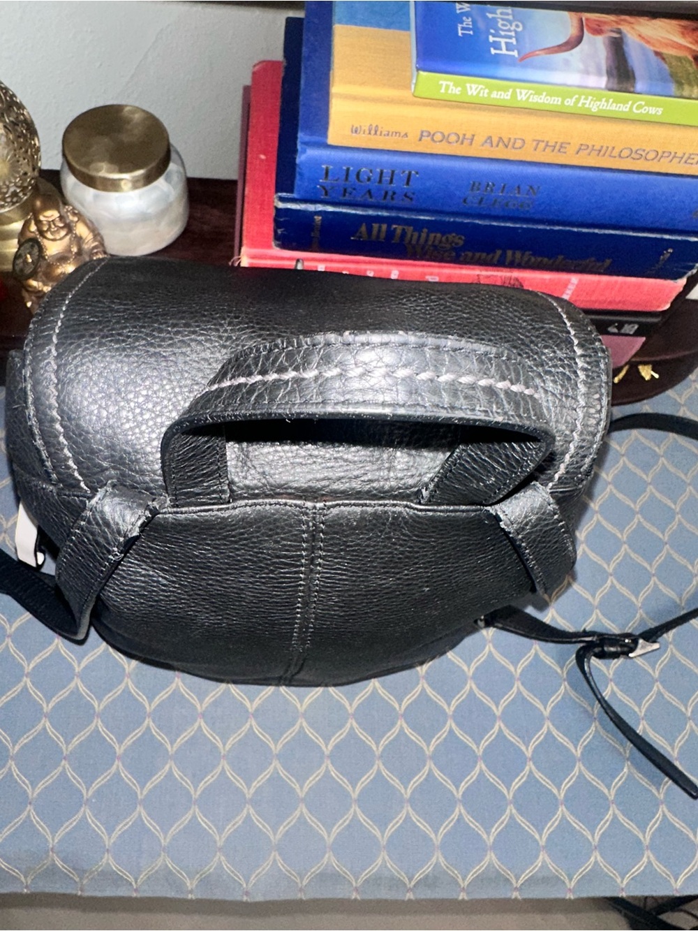 Coach Vintage Park Pebbled Leather Mini Backpack Black/Silver | Style F24385 - Picture 11 of 14